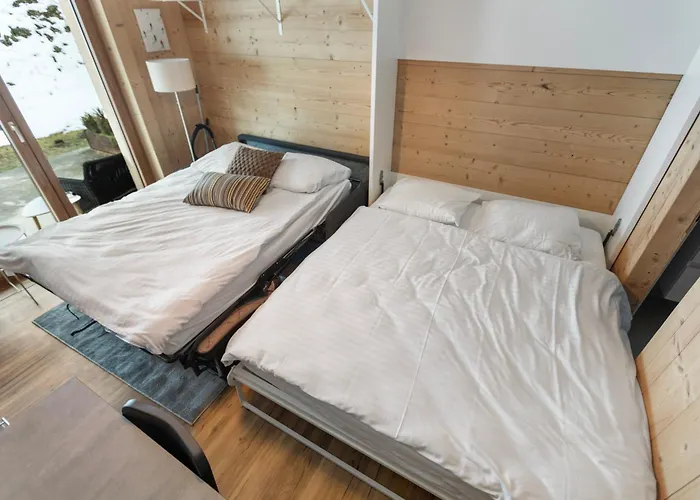 Renove Proche Remontees - Ideal Famille Διαμέρισμα Chalais